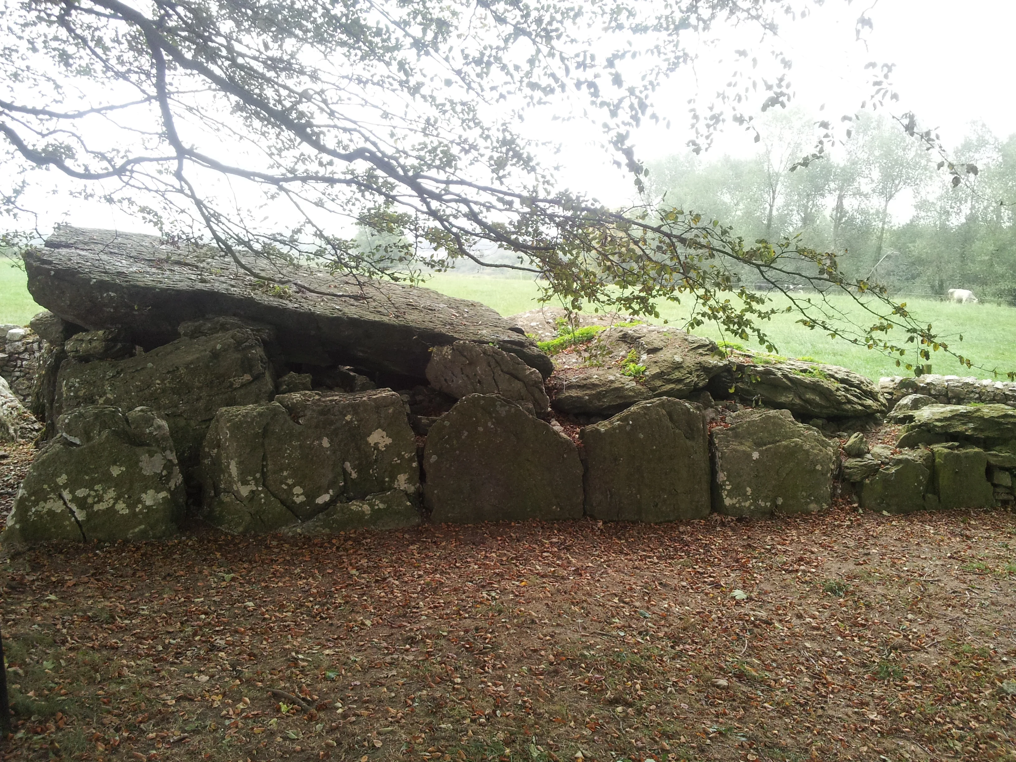 Labbacallee Wedge Tomb — Hag's Bed, County Cork