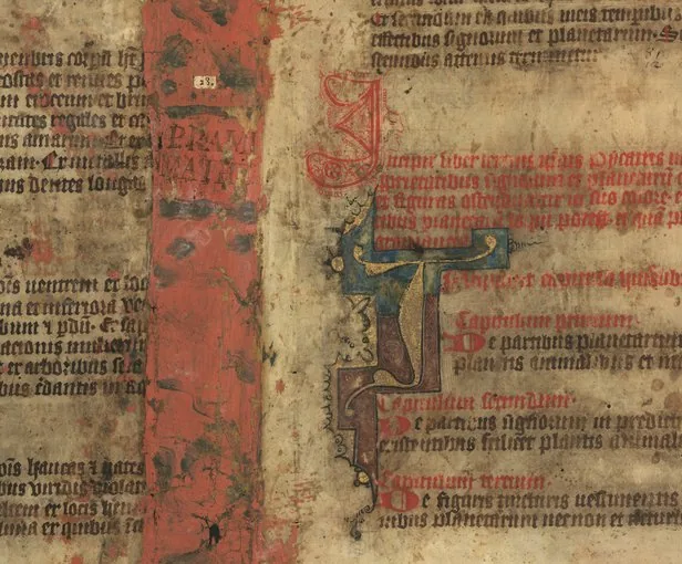Picatrix / Ghāyat al-Ḥakīm — manuskrip historis autentik