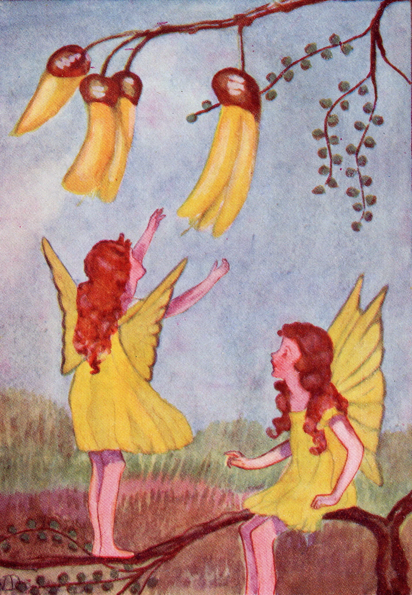 Patupaiarehe — V. Deroles